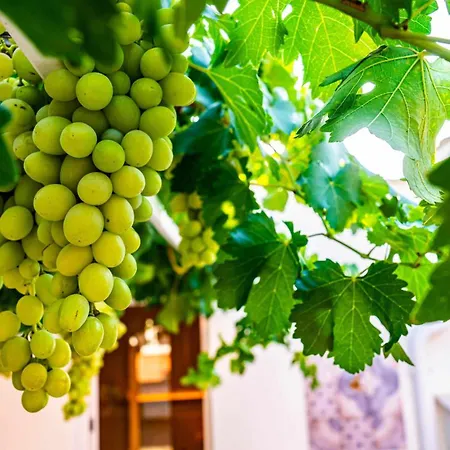 B&B Casa Minerva - E Relax 지오이아델콜레